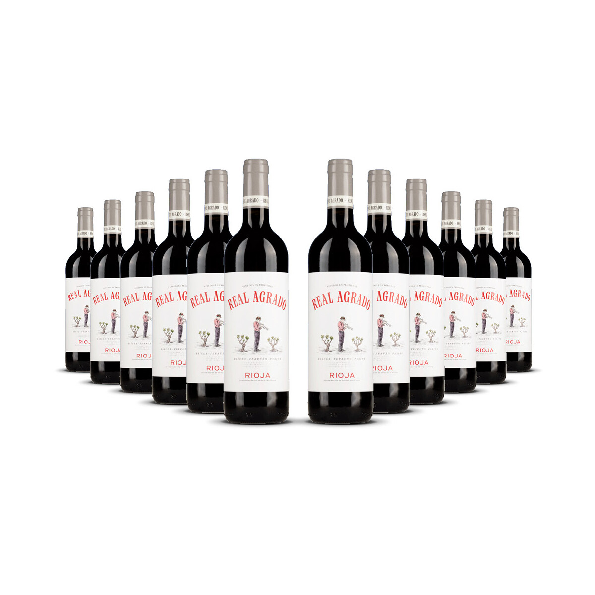 Real Agrado Rioja Tinto 2024er Rioja (12 x 0,75l)
