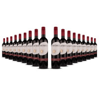 Antares Cabernet Sauvignon 2024er Central Valley (18 x 0,75l)