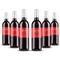 Weingut Leth Zweigelt Klassik (bio) 2023er Nieder Österreich (6 x 0,75l)