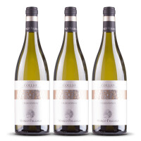 Marco Felluga Collio Chardonnay 2024er Friaul (3 x 0,75l)