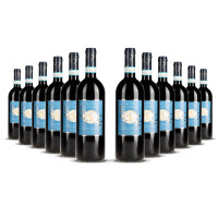 Notte di Galileo Rosso Riserva 2021er Veneto (12 x 0,75l)