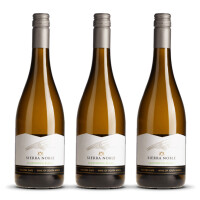 Sierra Noble Sauvignon Blanc 2025er Western Cape (3 x 0,75l)