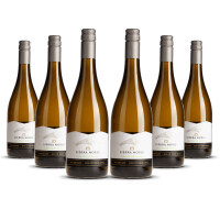 Sierra Noble Sauvignon Blanc 2025er Western Cape (6 x 0,75l)