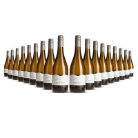 Sierra Noble Sauvignon Blanc 2025er Western Cape (18 x 0,75l)
