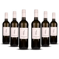 Studier Weissburgunder (bio) 2024er Pfalz (6 x 0,75l)