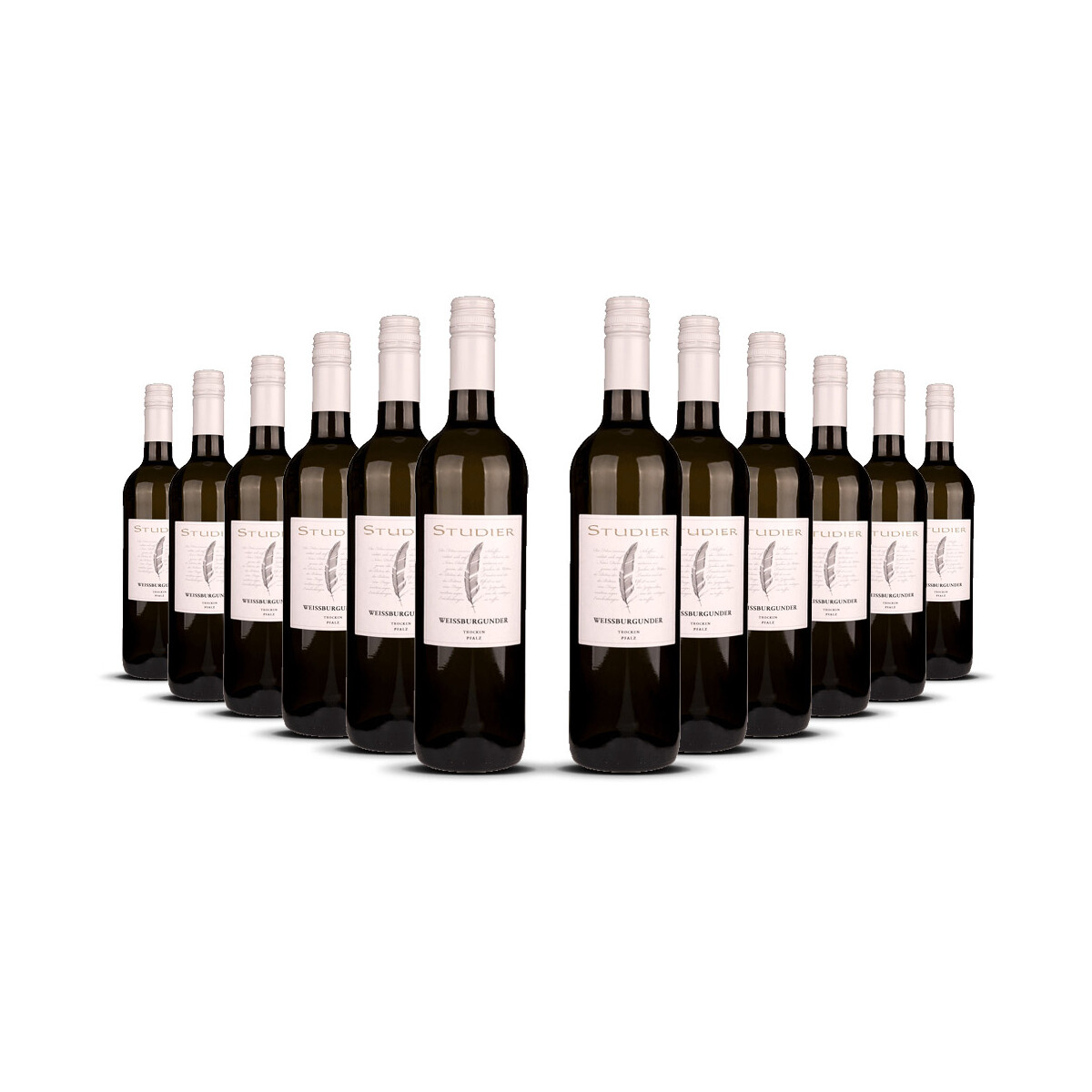 Studier Weissburgunder (bio) 2024er Pfalz (12 x 0,75l)