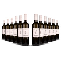 Studier Weissburgunder (bio) 2024er Pfalz (12 x 0,75l)