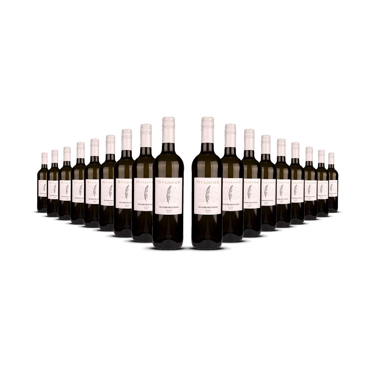 Studier Weissburgunder (bio) 2024er Pfalz (18 x 0,75l)