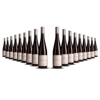 Julien Schaal Riesling Grand Cru Sommerberg "Granite" 2023er Elsass (18 x 0,75l)