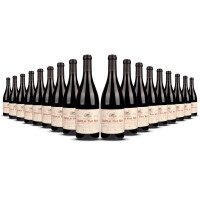 Château Paul Mas Clos des Mûres Languedoc Rouge 2023er Süd-Frankreich (18 x 0,75l)