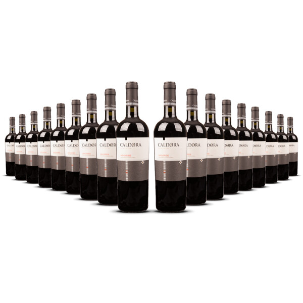 Caldora Sangiovese 2024er Abruzzen (18 x 0,75l)