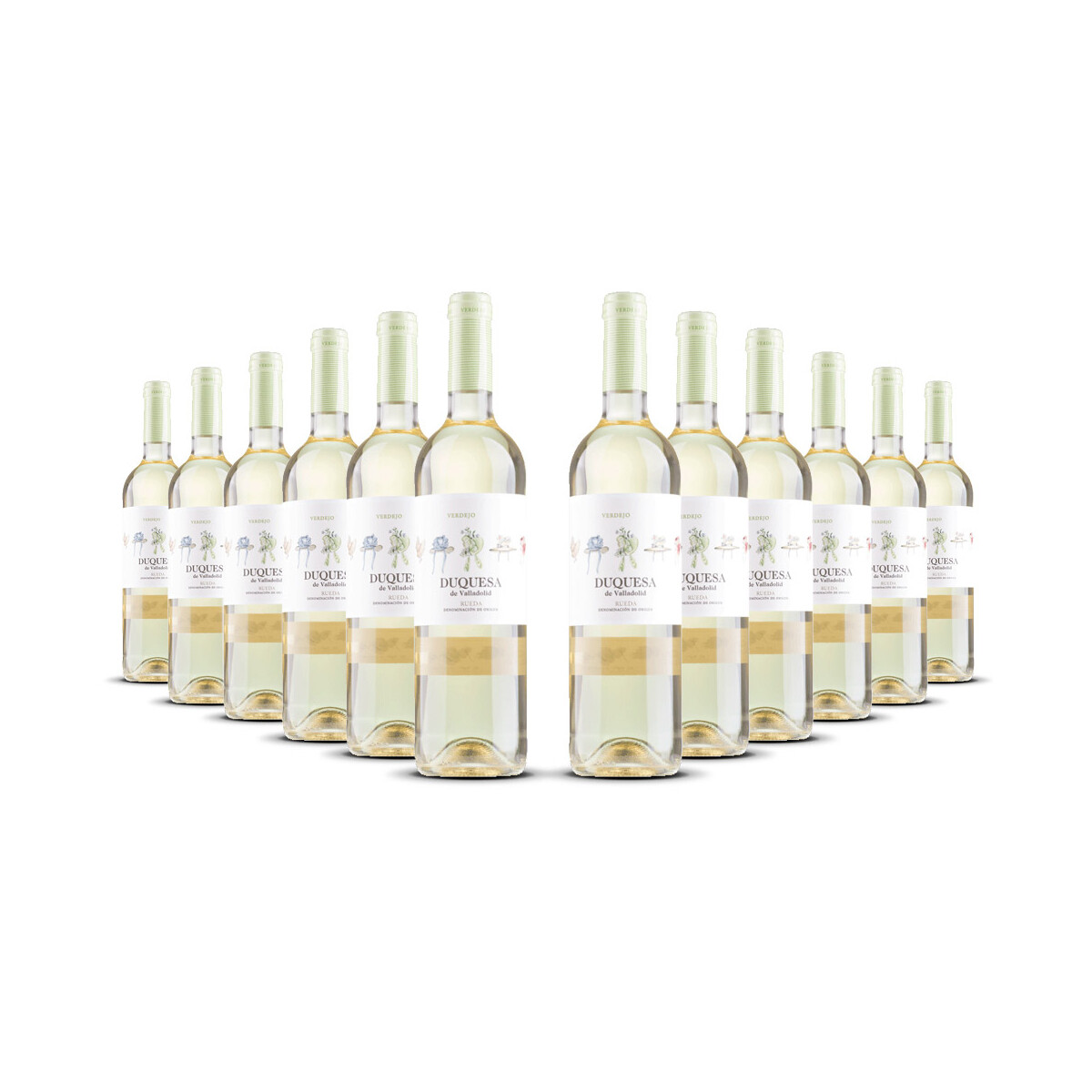 Duquesa de Valladolid Rueda Verdejo 2024er Rueda (12 x...