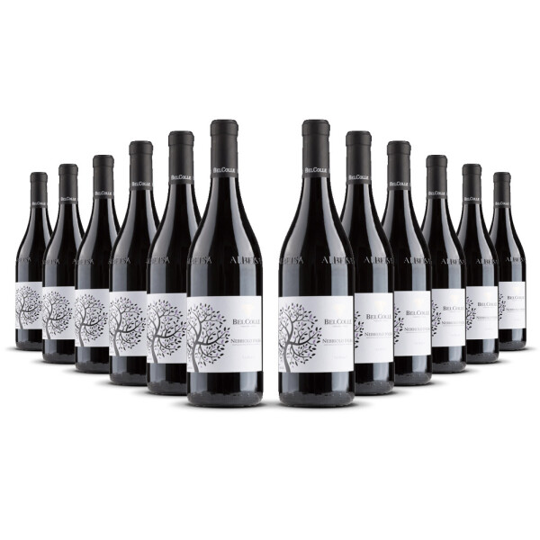 Bel Colle Nebbiolo dAlba 2023er Piemont (12 x 0,75l)
