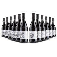 Bel Colle Nebbiolo dAlba 2023er Piemont (12 x 0,75l)