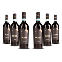 Caldora Montepulciano dAbruzzo 2024er Abruzzen (6 x 0,75l)