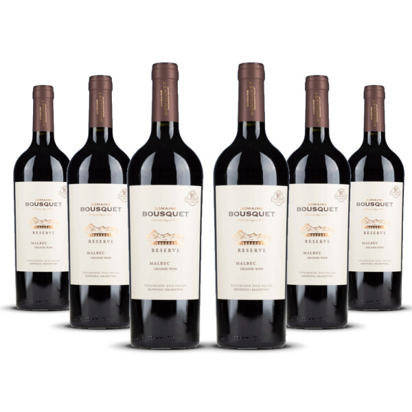 Domaine Bousquet Malbec Reserve (bio) 2024er Uco Valley (6 x 0,75l)