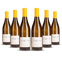 Antoine de la Farge Pouilly Fumé 2024er Loire (6 x 0,75l)