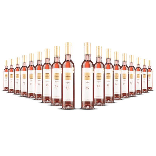 Weingut Tschida BA Red 0.375 2023er  (18 x 0,375l)