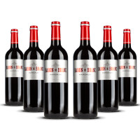 Baron de Brane Cantenac Margaux 2020er Bordeaux (6 x 0,75l)