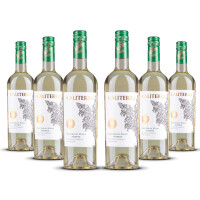 Caliterra Reserva Sauvignon Blanc 2024er Casablanca Valley (6 x 0,75l)