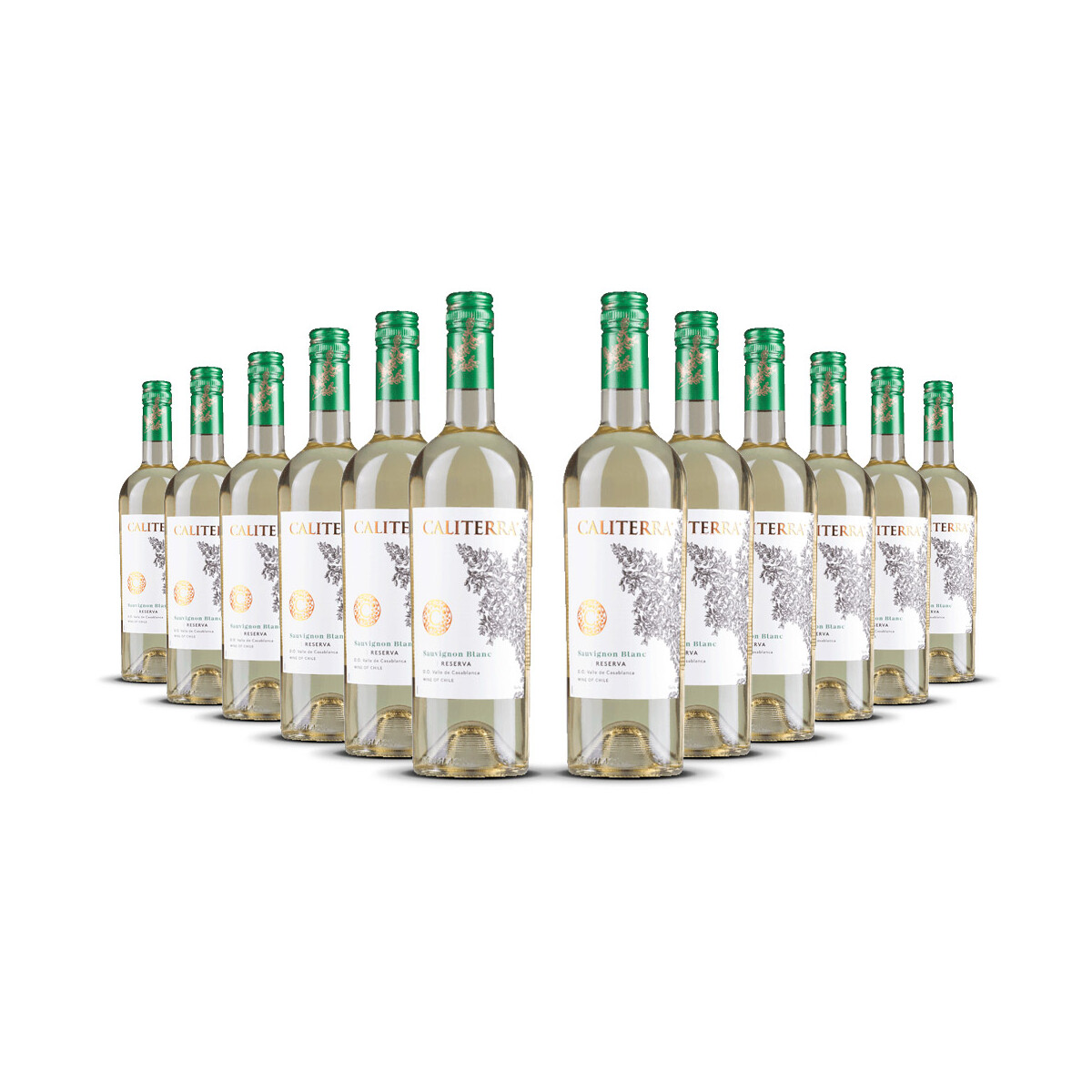 Caliterra Reserva Sauvignon Blanc 2024er Casablanca...