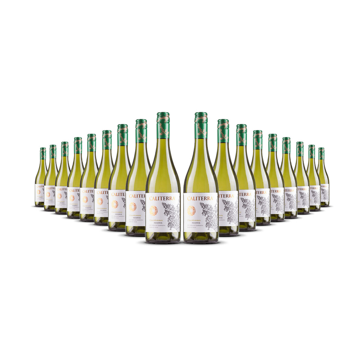 Caliterra Reserva Chardonnay 2024er Casablanca Valley (18...