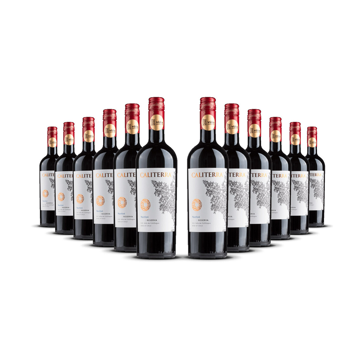Caliterra Reserva Merlot 2023er Colchagua Valley (12 x...