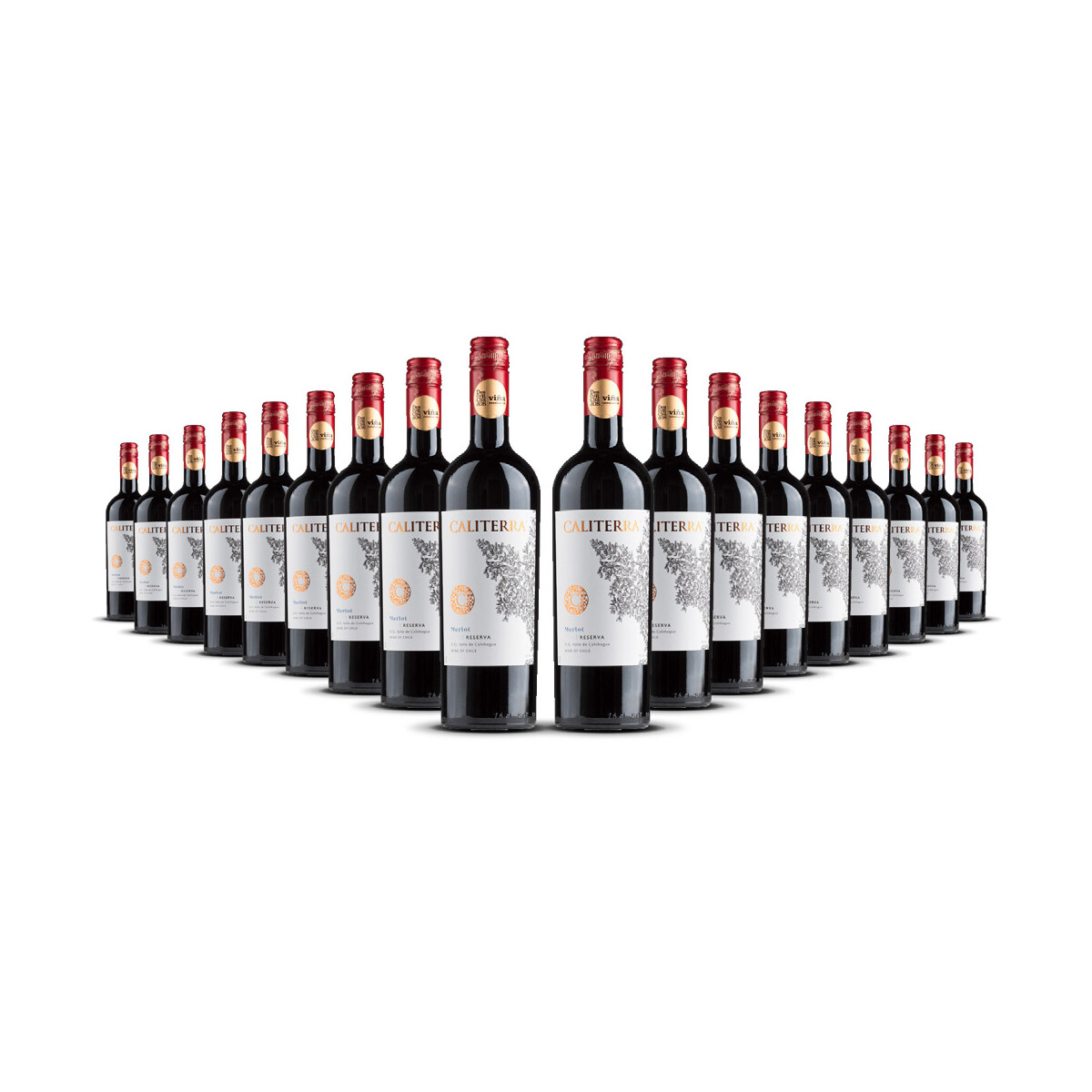 Caliterra Reserva Merlot 2023er Colchagua Valley (18 x...