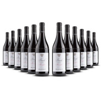 Bel Colle Barolo Monvigliero 2020er Piemont (12 x 0,75l)