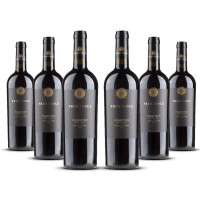 Cielo Primasole Primitivo Puglia IGT 2024er Apulien (6 x 0,75l)