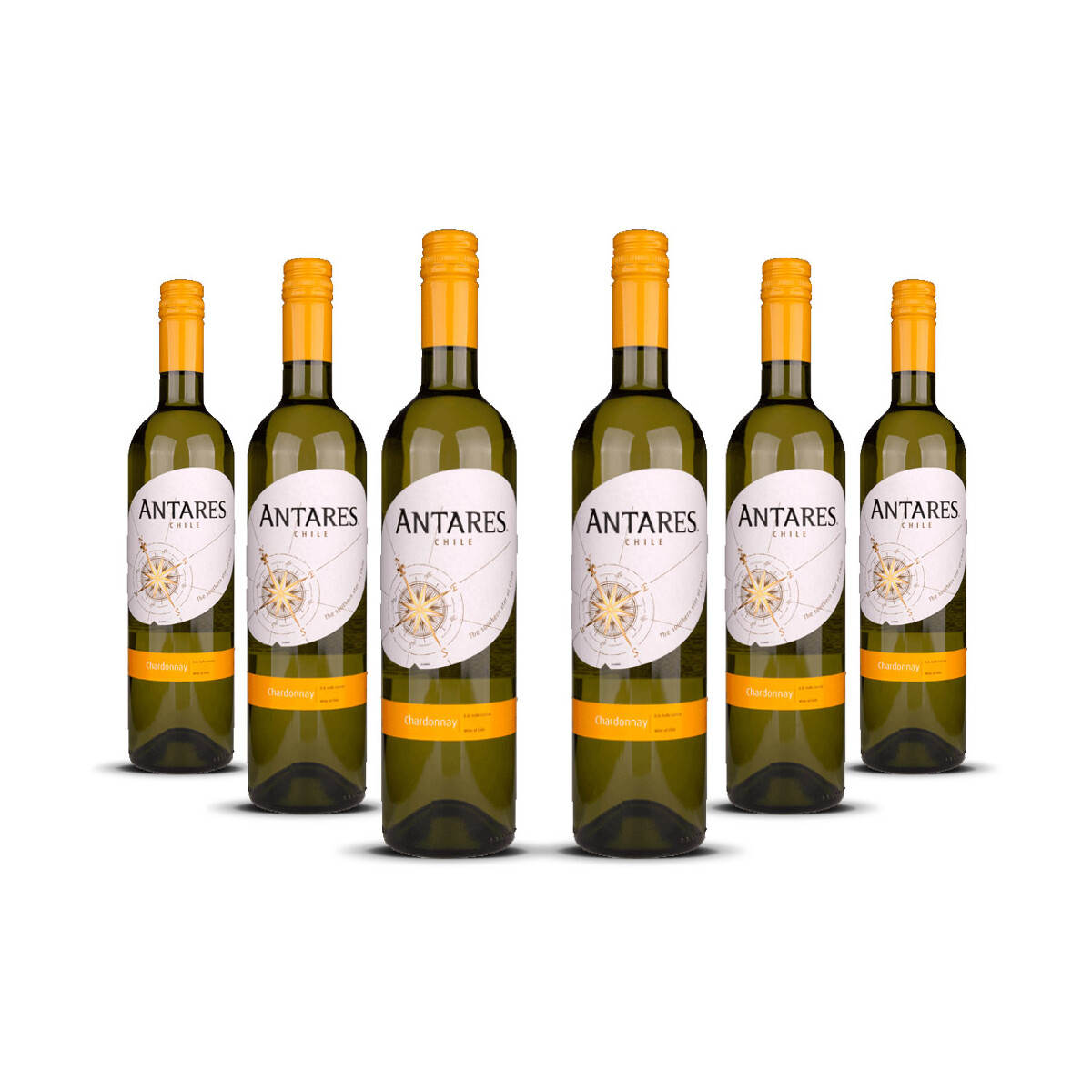 Antares Chardonnay 2025er Central Valley (6 x 0,75l)