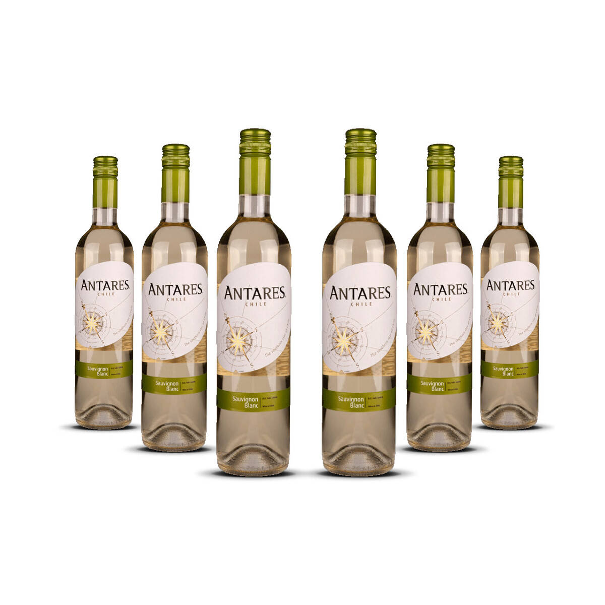 Antares Sauvignon blanc 2025er Central Valley (6 x 0,75l)