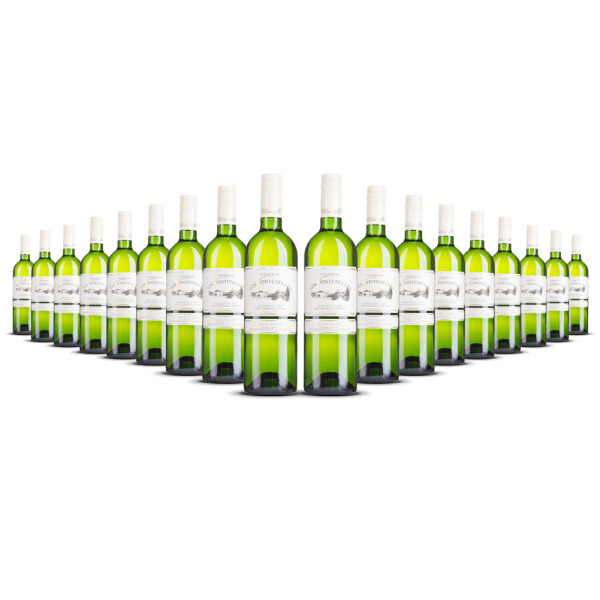 Château Les Fontenelles Bergerac Blanc Sec 2024er Bordeaux (18 x 0,75l)