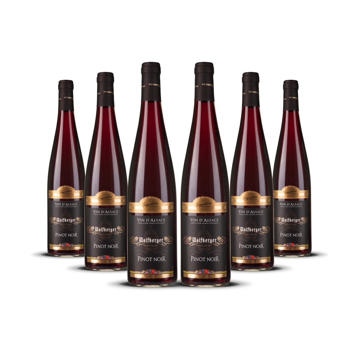 Wolfberger Pinot Noir dAlsace 2024er Elsass (6 x 0,75l)