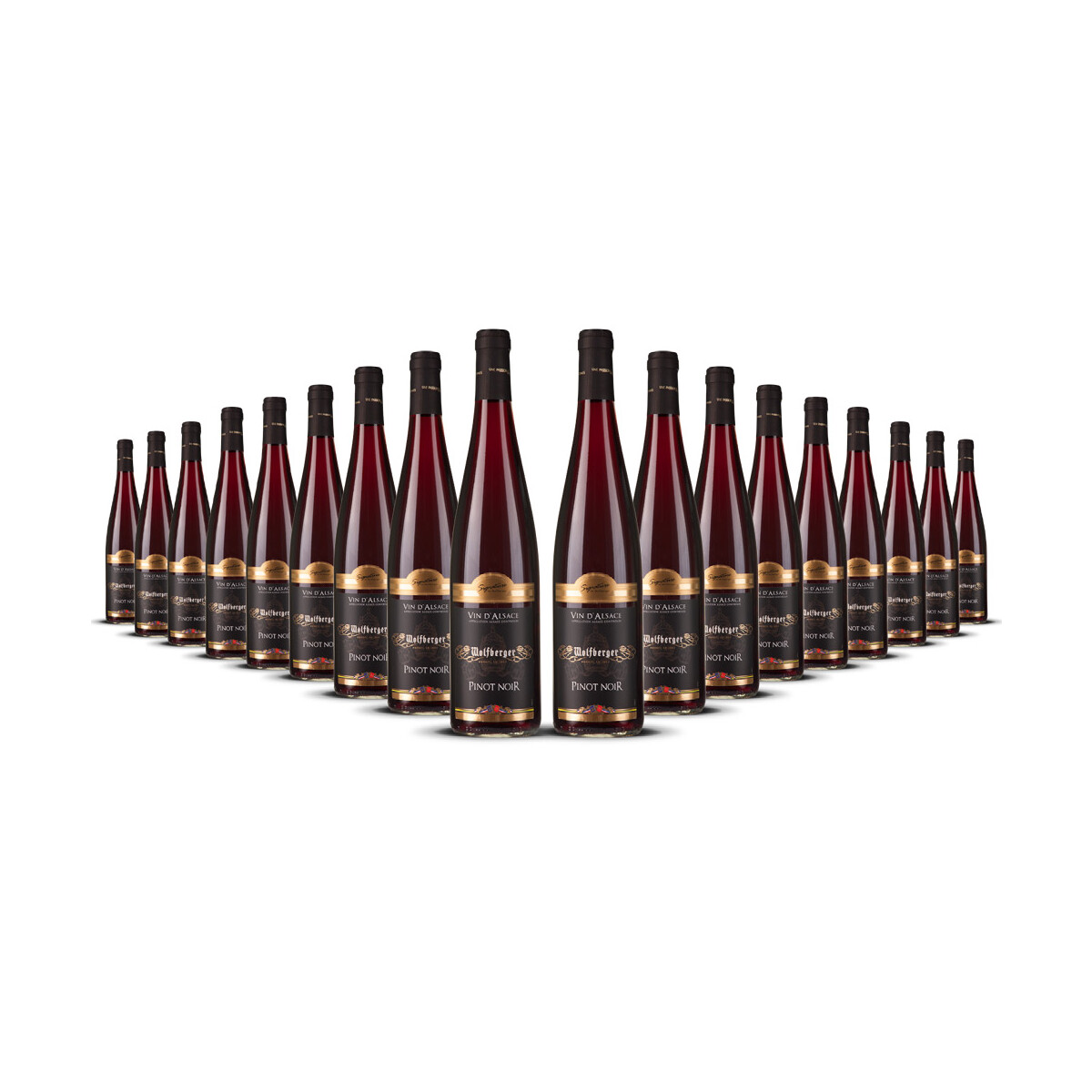 Wolfberger Pinot Noir dAlsace 2024er Elsass (18 x 0,75l)