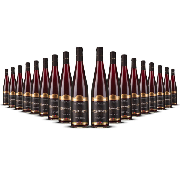 Wolfberger Pinot Noir dAlsace 2024er Elsass (18 x 0,75l)