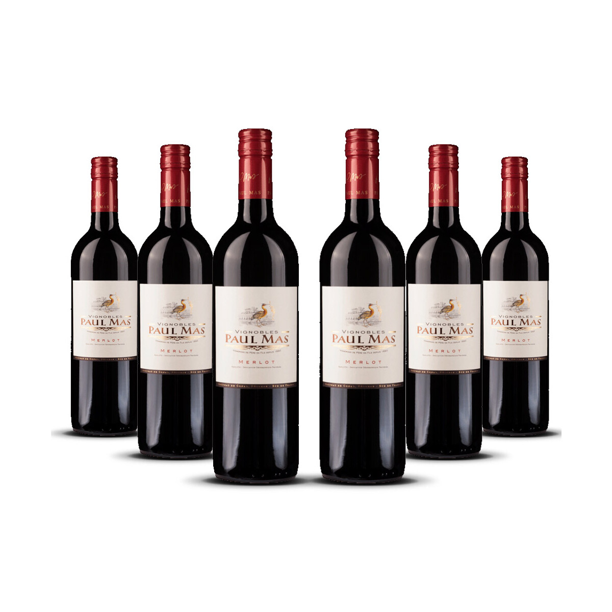 Paul Mas Classique Merlot 2024er Süd-Frankreich (6 x...