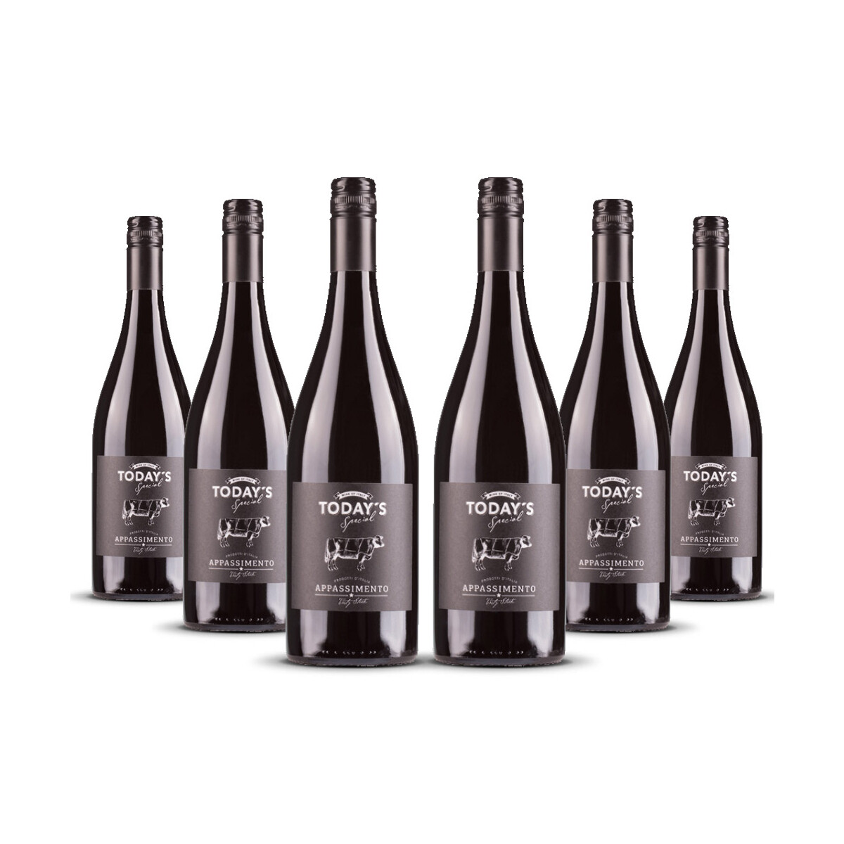 Todays Special Appassimento 2024er Apulien (6 x 0,75l)