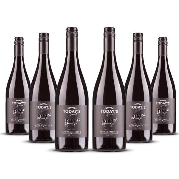 Todays Special Appassimento 2024er Apulien (6 x 0,75l)