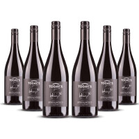 Todays Special Appassimento 2024er Apulien (6 x 0,75l)