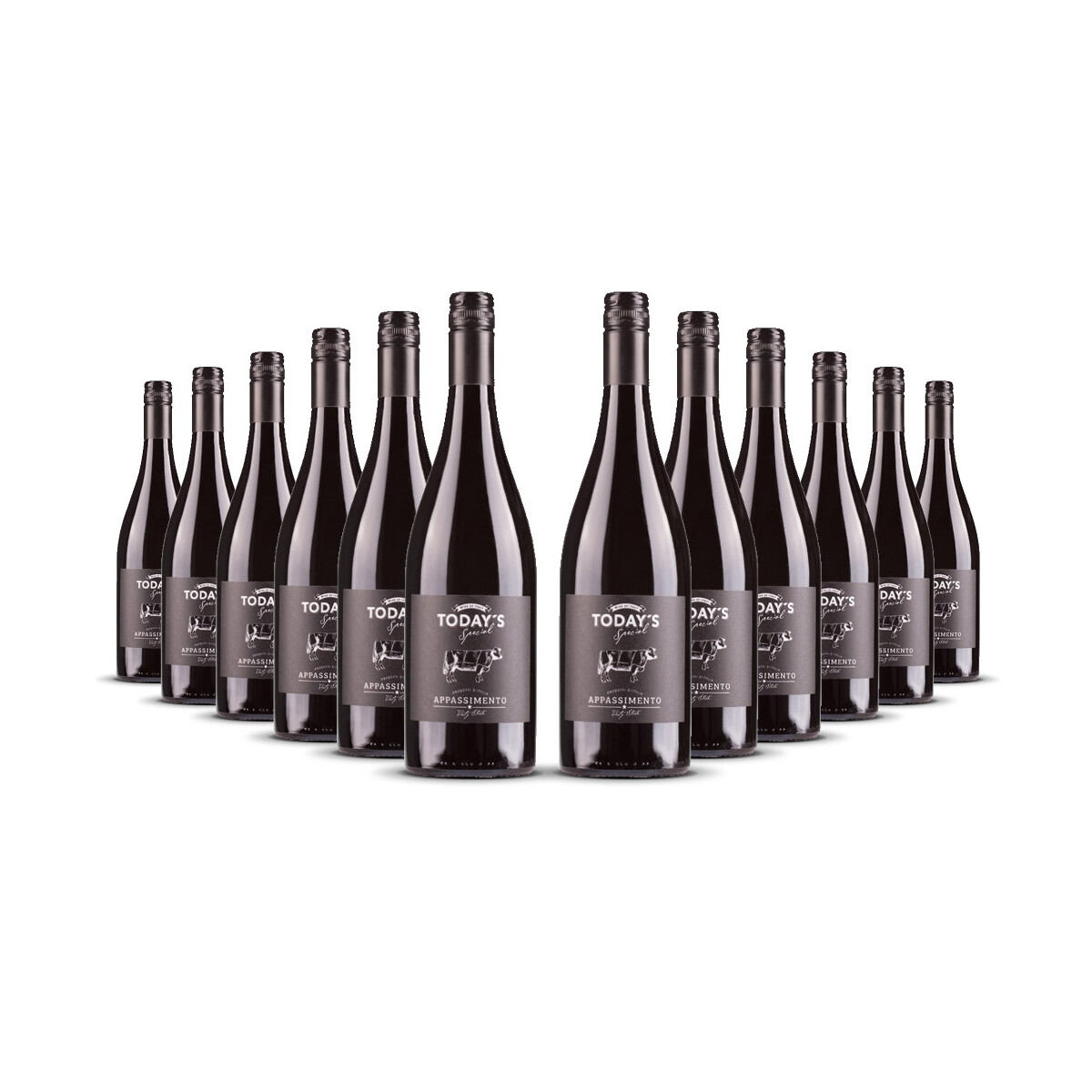 Todays Special Appassimento 2024er Apulien (12 x 0,75l)