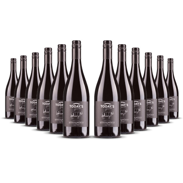 Todays Special Appassimento 2024er Apulien (12 x 0,75l)