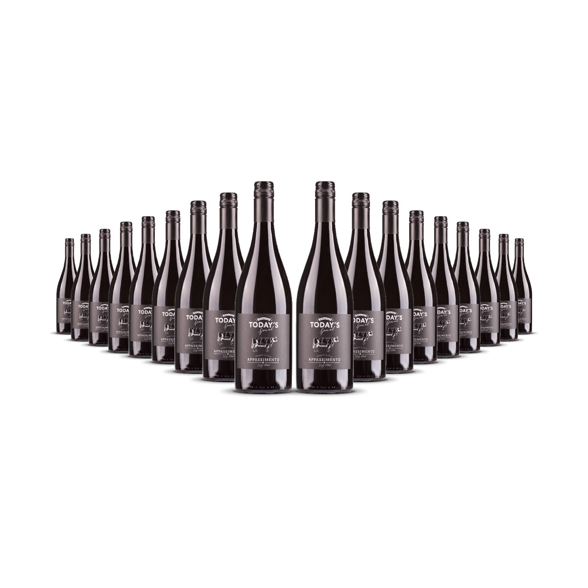 Todays Special Appassimento 2024er Apulien (18 x 0,75l)