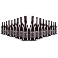 Todays Special Appassimento 2024er Apulien (18 x 0,75l)