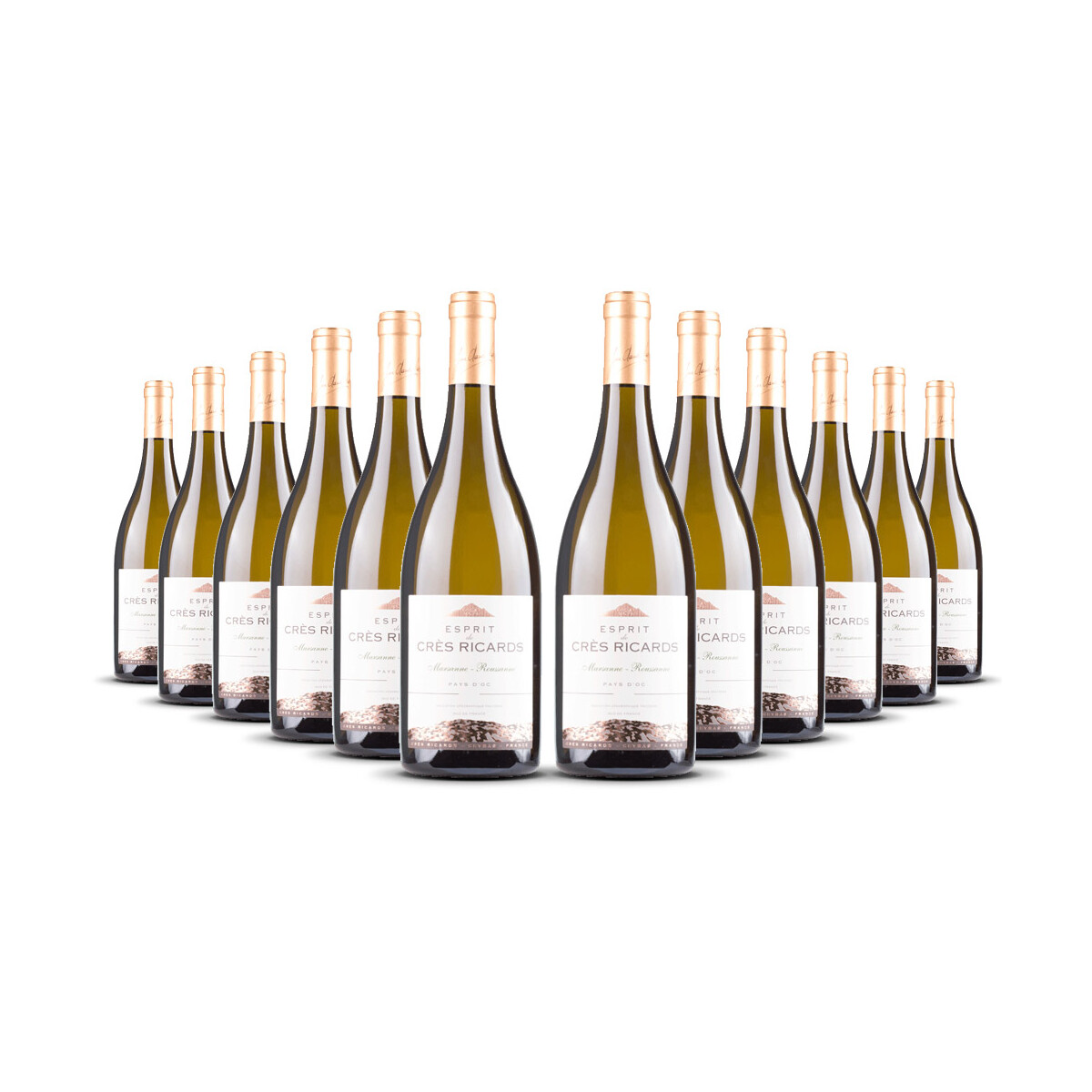 Esprit de Crès Ricards Marsanne / Roussanne 2024er...