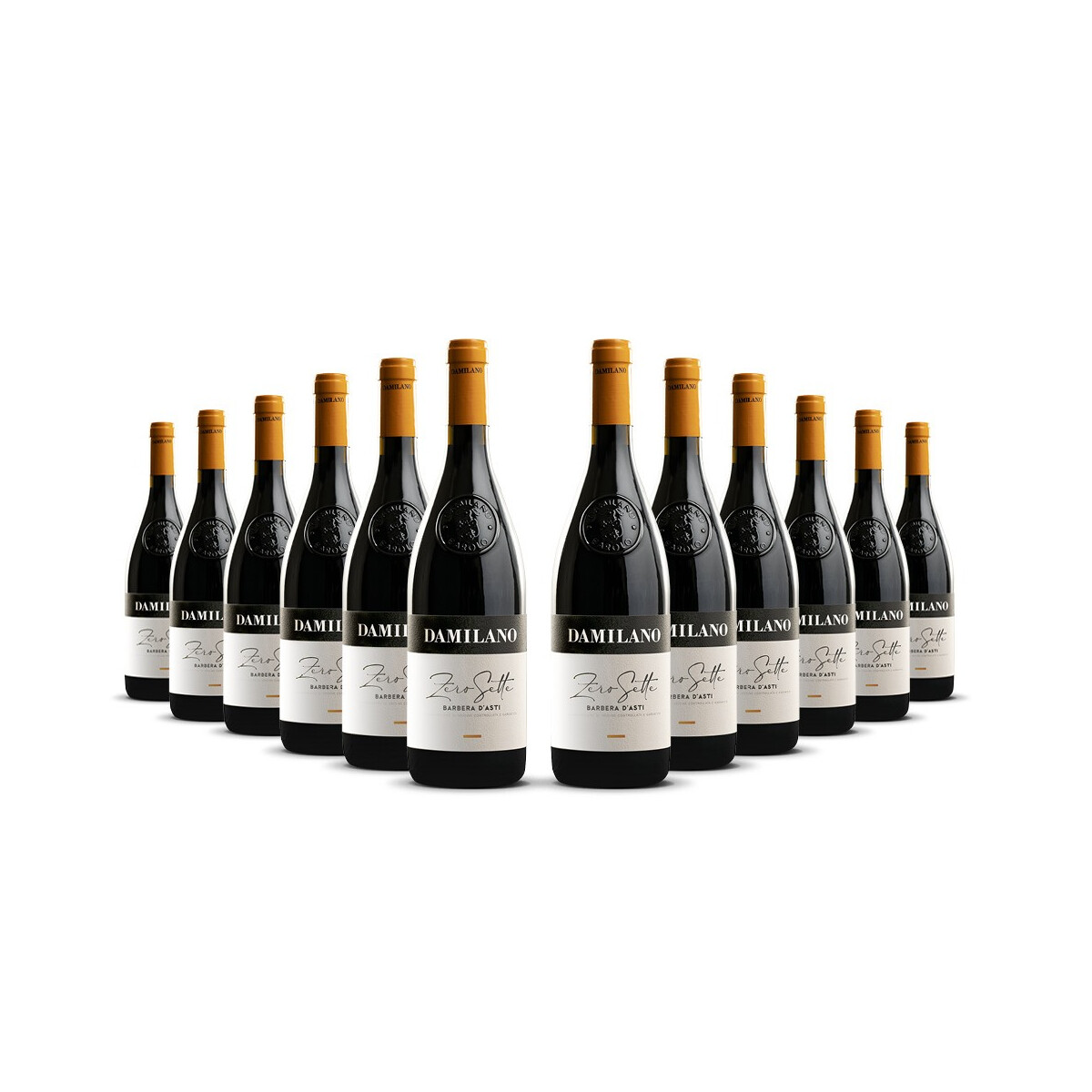 Damilano Barbera dAsti 2024er Piemont (12 x 0,75l)