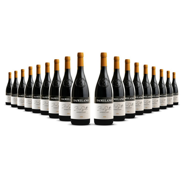Damilano Barbera dAsti 2024er Piemont (18 x 0,75l)