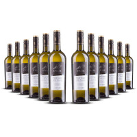 Biscardo UVAM Pinot Grigio delle Venezie 2025er Veneto (12 x 0,75l)