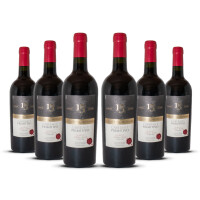 Conte di Campiano Cabernet Sauvignon / Primitivo 2024er Apulien (6 x 0,75l)