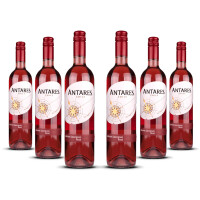 Antares Rosado 2025er Central Valley (6 x 0,75l)